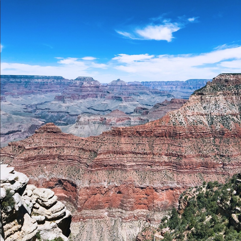 Meet your Posher, Shay